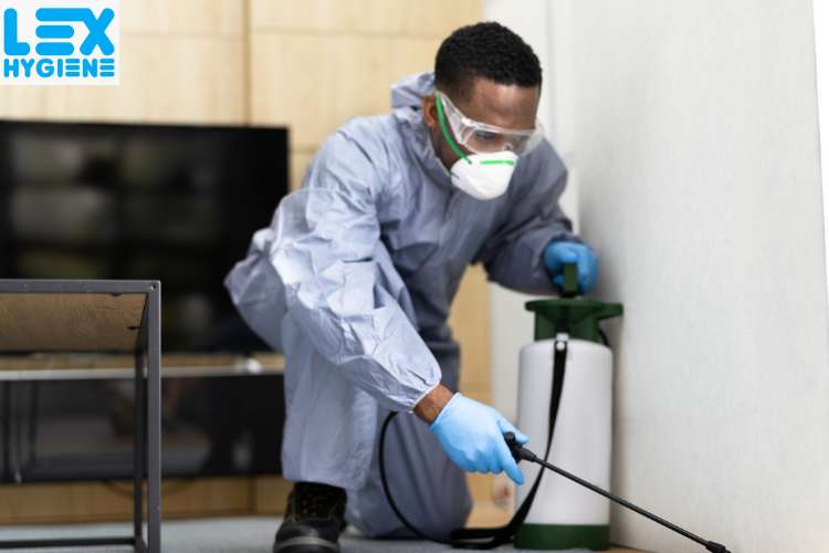 How to Protect Your Home with Termite Control in Greater Noida