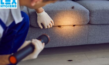 Top General Pest Control Services in Delhi NCR: Keep Your Home Safe