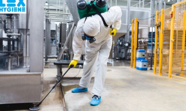  Best General Pest Control in Delhi: What Services Are Included?