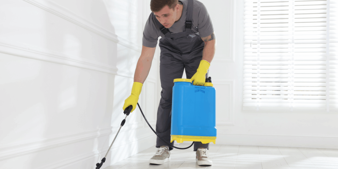 Effective Bed Bug Control: How to Get Rid of Bed Bugs in Delhi with Professional Treatment