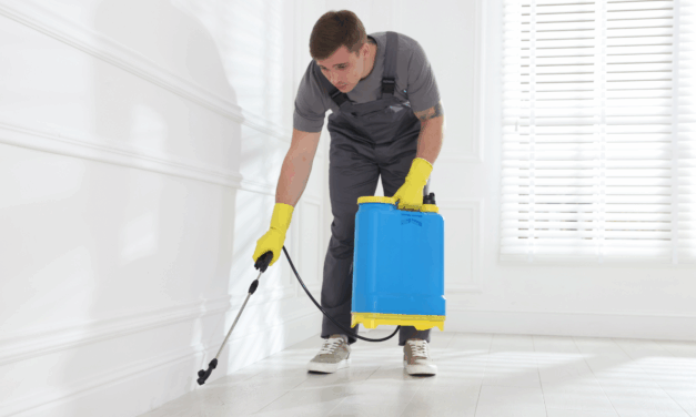 Effective Bed Bug Control: How to Get Rid of Bed Bugs in Delhi with Professional Treatment